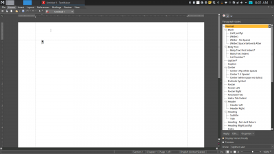 Blank Document. Showing &quot;Styles in Use&quot;