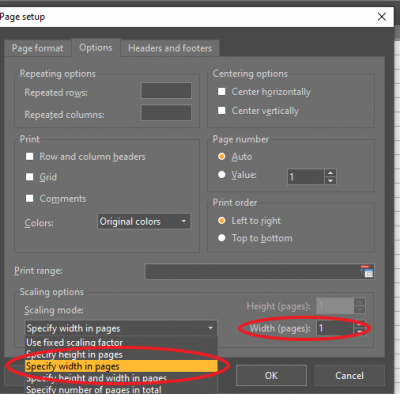 Scaling in print setup.png