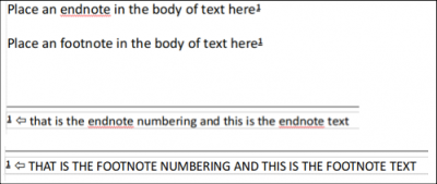 footnot-endnote.png