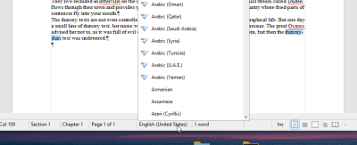 Status bar.png